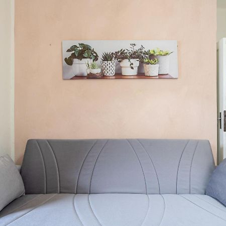 Apartment Il Gabbiano By Interhome อาลัสซิโอ ภายนอก รูปภาพ